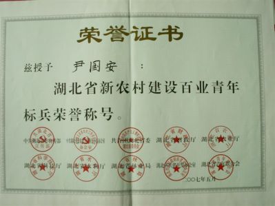 湖北省百业青年建设标本荣誉证书 